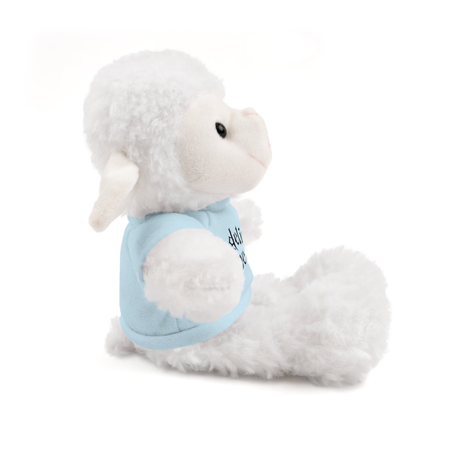 Delicate Hearts Cuddle Buddy