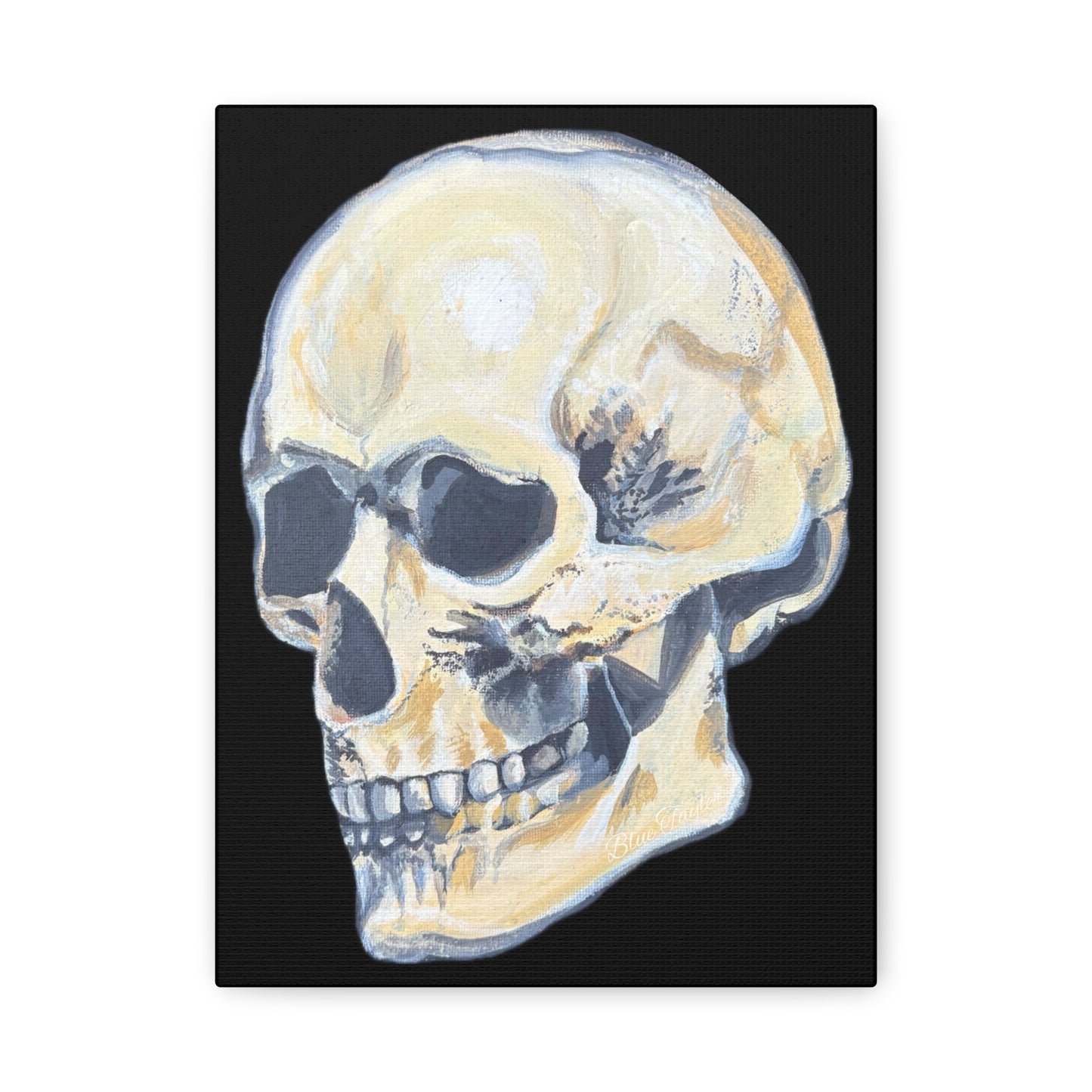 VG Skull Art Canvas Wall Decor