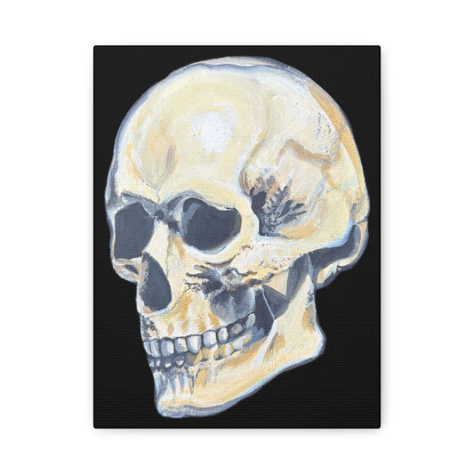 VG Skull Art Canvas Wall Decor