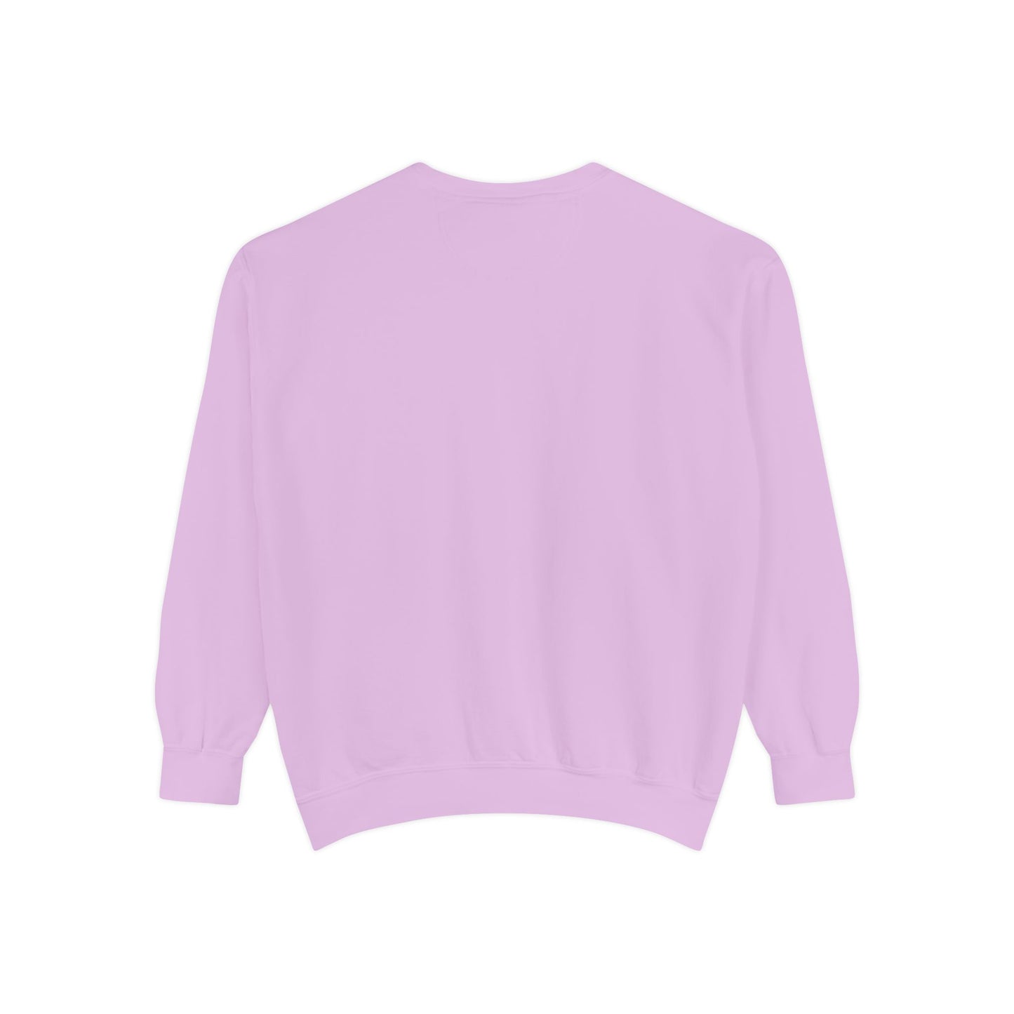 DH Embroidered Sweatshirt